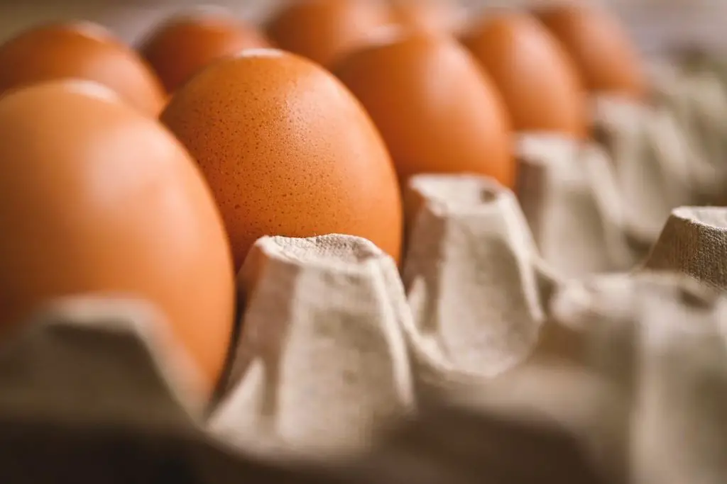 Eggs fatty foods