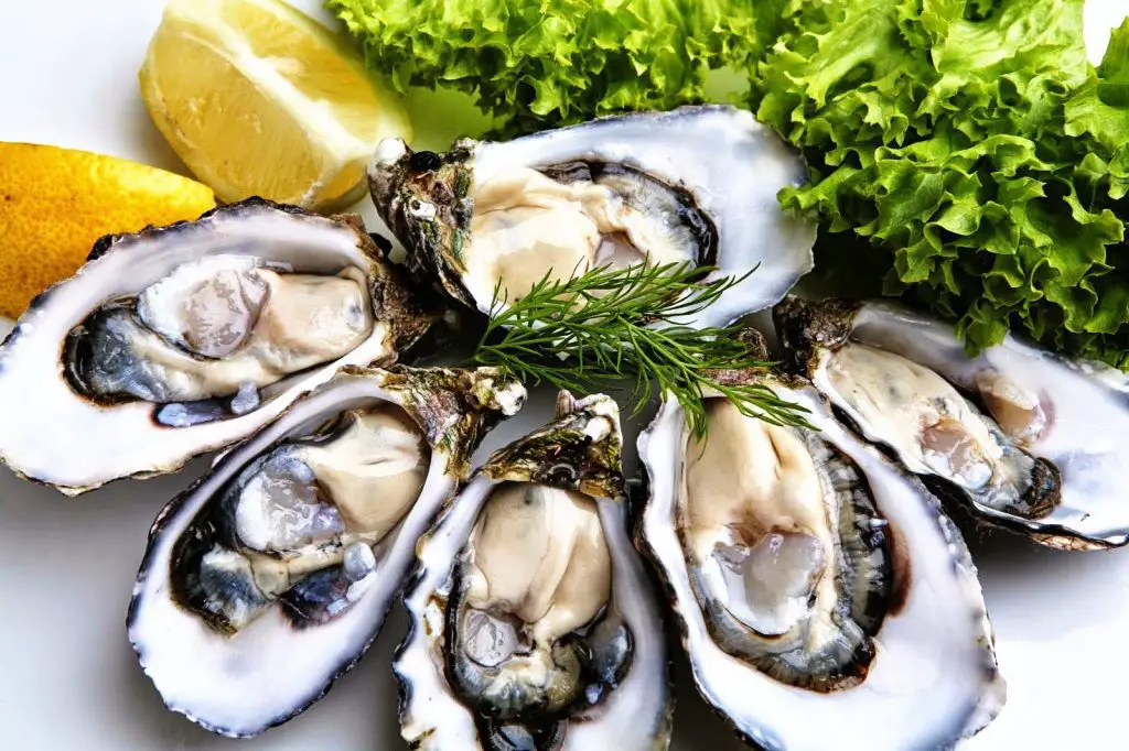 Oysters Sexual vitality - natural viagra foods - Erectile function